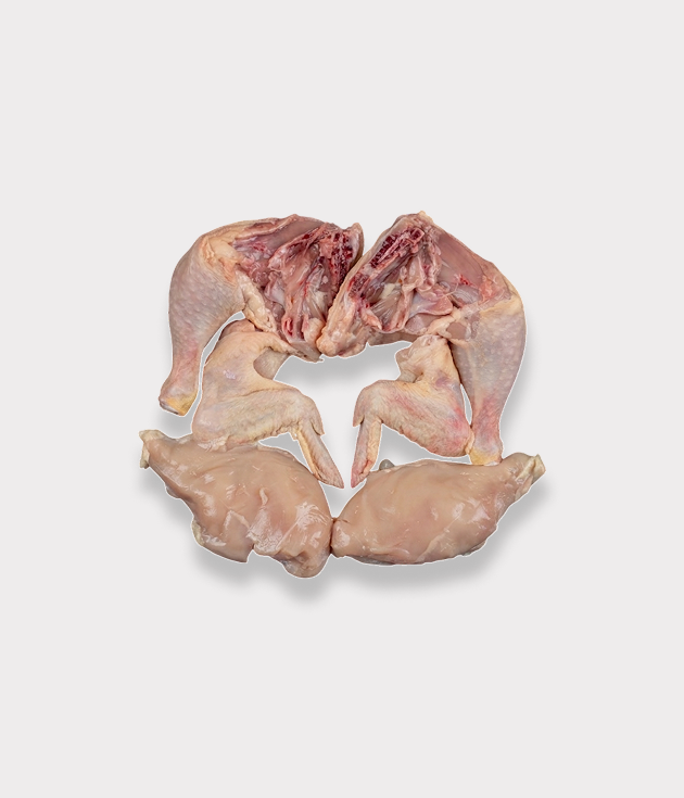 Guinea Fowl